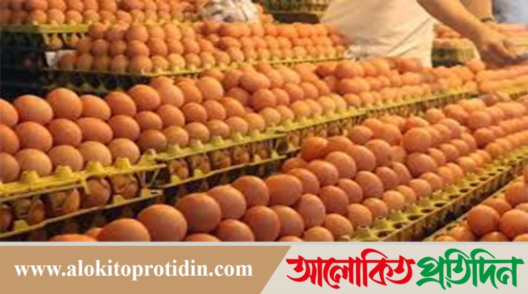 সাড়ে ৪ কোটি পিস ডিম আমদানির অনুমতি দিল সরকার