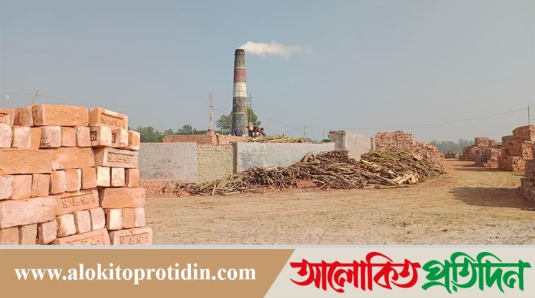 নোয়াখালীতে অবৈধ ইট ভাটার ছড়াছড়ি, বিপন্ন পরিবেশ,প্রশাসন নির্বিকার