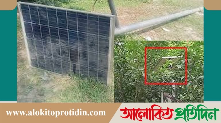 দৌলতপুরে মুখ থুবড়ে পড়েছে সোলার সড়ক বাতি, কিছু বাতি গাছের থাবায় অন্ধকারে