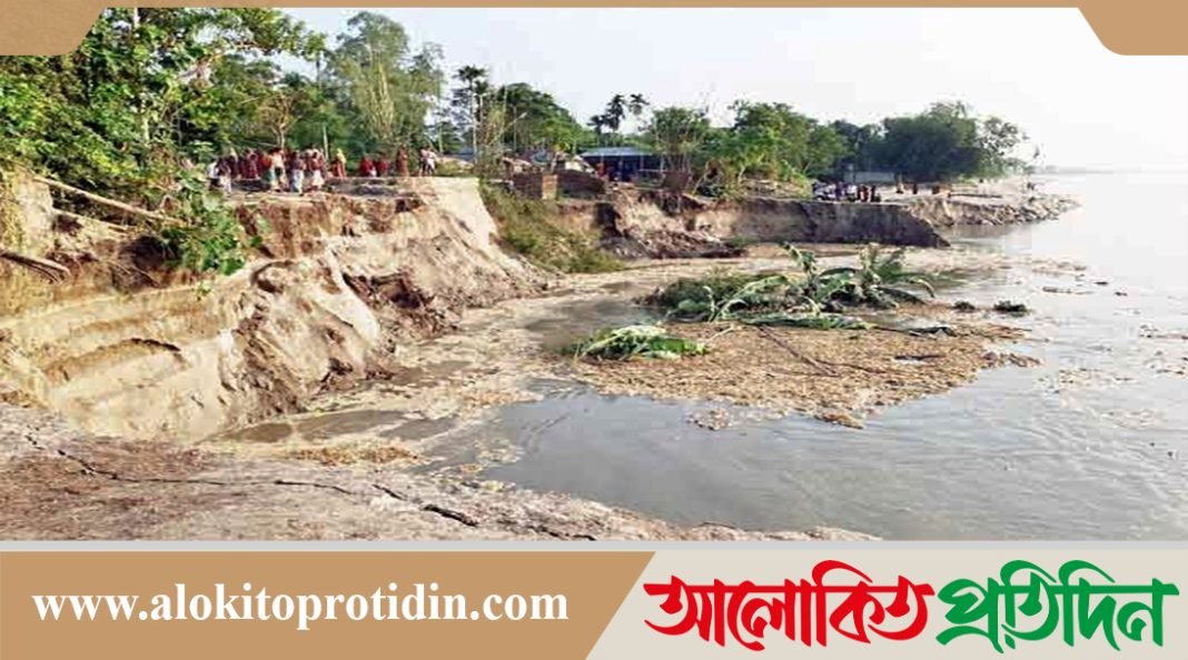 অসময়ে যমুনা নদীর ভাঙনে ২০ পরিবার নিঃস্ব, আতঙ্কে দেড় শতাধিক পরিবার