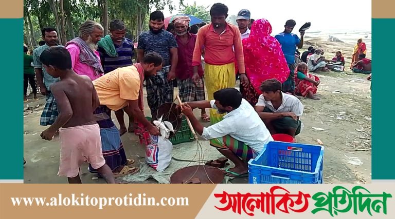 মানিকগঞ্জে ইলিশ রক্ষায় শেষ দিনেও ছিল যমুনার পাড়ে জমজমাট ইলিশ বিক্রির হাট 