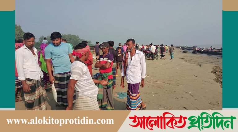 মানিকগঞ্জে নিষেধাজ্ঞা শেষে ইলিশ ধরার উৎসবে মেতেছে জেলেরা