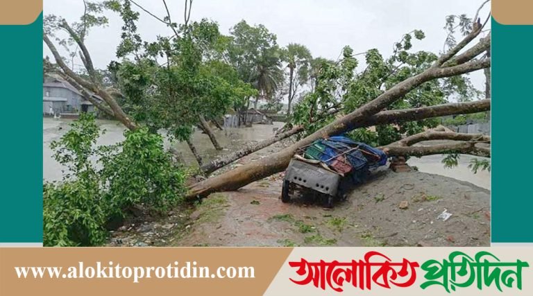 ঘূর্ণিঝড় সিডরের ১৭ বছর আজ, ভয়াল স্মৃতি এখনো তাড়া করে উপকূলবাসীর