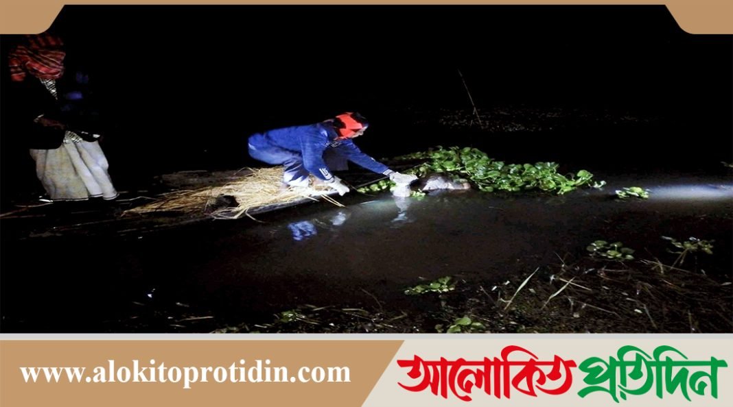 টাঙ্গাইলে নিখোঁজের পাঁচদিন পর বিল থেকে অর্ধগলিত লাশ উদ্ধার