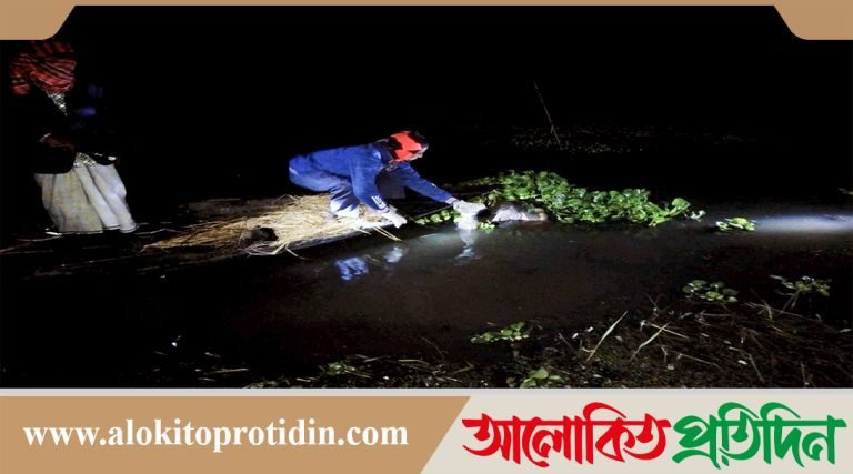 টাঙ্গাইলে নিখোঁজের পাঁচদিন পর বিল থেকে অর্ধগলিত লাশ উদ্ধার