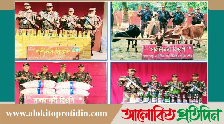 ব্রাহ্মণবাড়িয়ায় অর্ধ কোটি টাকার ভারতীয় পণ্য জব্দ