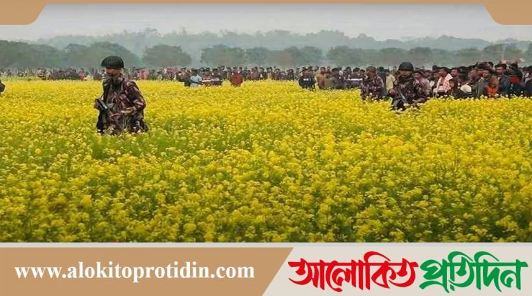 সীমান্তে কাঁটা তারের বেড়া নির্মাণ বন্ধ রাখার সিদ্ধান্ত বিএসএফের