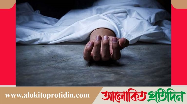 মানসিক ভারসাম্যহীন ছেলের পাথরের আঘাতে প্রাণ গেল মায়ের