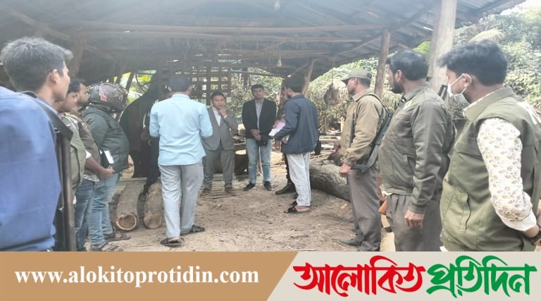 অবৈ*ধ সমিল উচ্ছেদ, ২০০ ঘনফুট কাঠ জ*ব্দ 