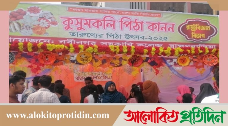 নবীনগর সরকারী কলেজে পিঠা উৎসব ও সাংস্কৃতিক অনুষ্ঠান