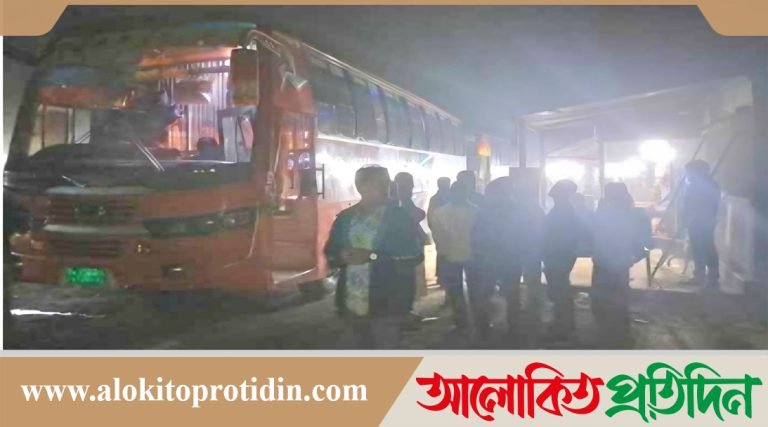 দৌলতদিয়া ফেরিঘাট এলাকায় রাত হলেই বেড়ে যায় ছিনতাই