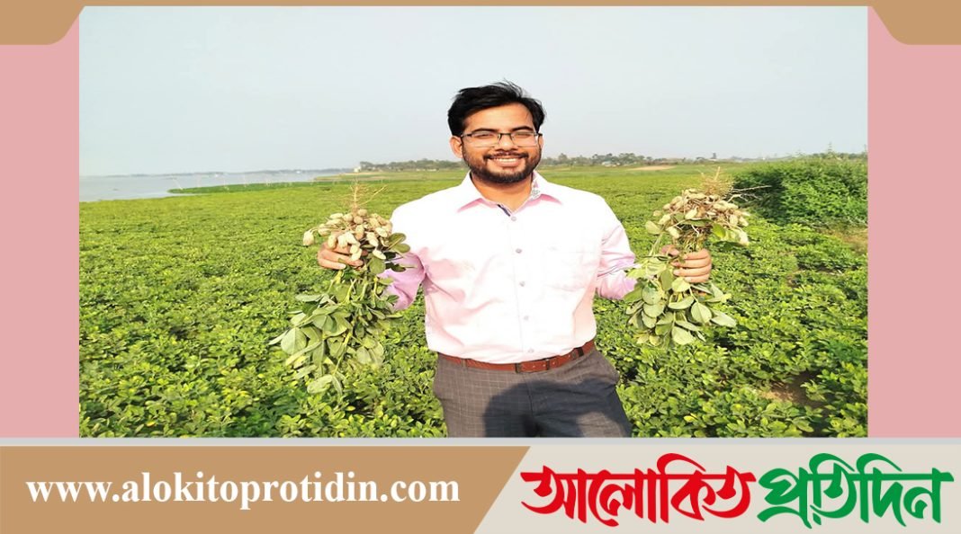 নবীনগরে চিনাবাদাম চাষে স্বপ্ন বুনছে কৃষক