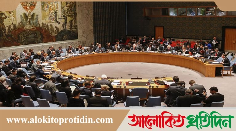 জাতিসংঘে ভারতকে তুলোধুনো করল পাকিস্তান