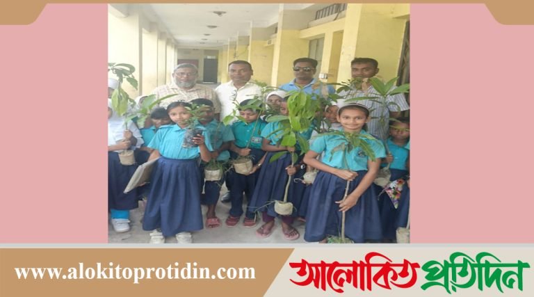 নবীনগরে স্কুল শিক্ষার্থীরা উপহার পেল গাছের চারা 