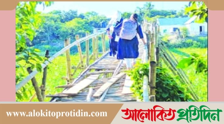 নবীনগরের বাঁশের সাঁকু ভেঙ্গে যাওয়ায় সাত গ্রামের মানুষের দুর্ভোগ