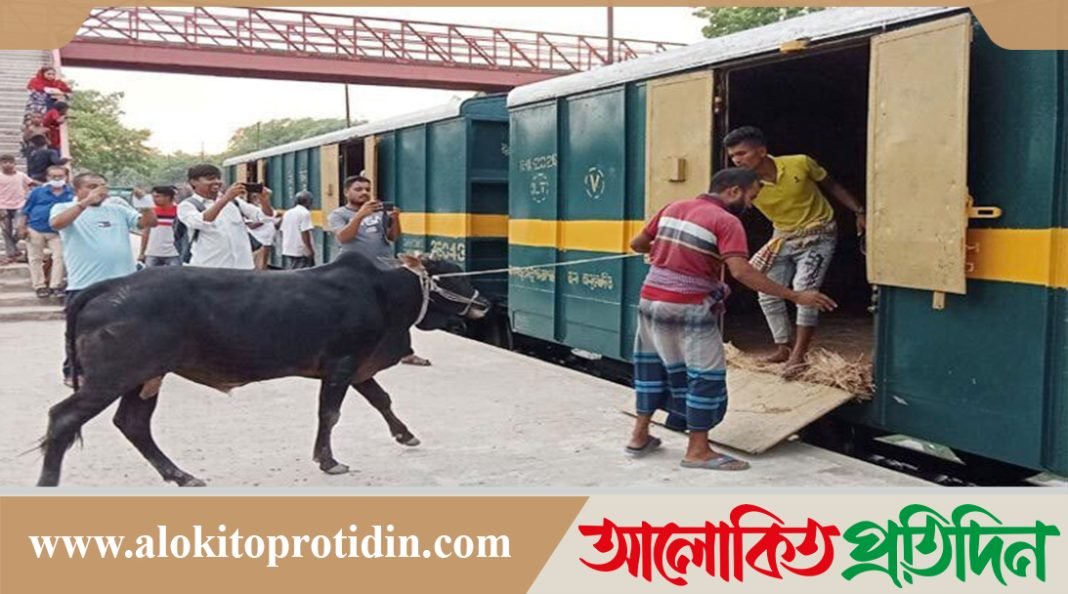 ‘ক্যাটল স্পেশাল ট্রেন’ ঢাকায় আসবে আজ রাত থেকে