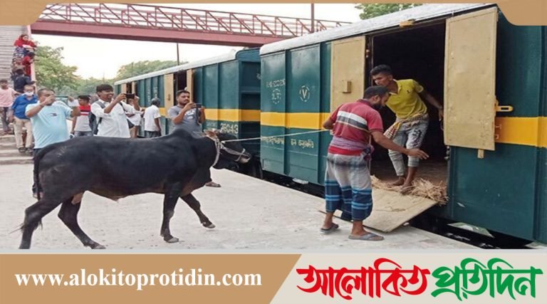 ‘ক্যাটল স্পেশাল ট্রেন’ ঢাকায় আসবে আজ রাত থেকে