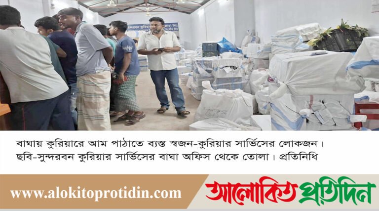 রাজশাহীর বাঘায় আমের দামের থেকে কুরিয়ার চার্জ বেশি!