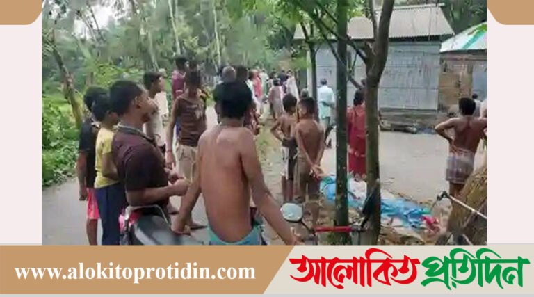 নীলফামারীতে বজ্রপাতে কৃষকের মৃ*ত্যু 