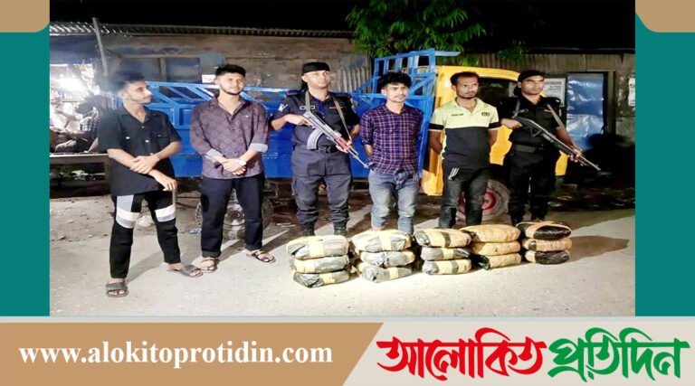 নবীনগরে ৩০কেজি গাঁজাসহ দুই মাদক ব্যবসায়ী আটক