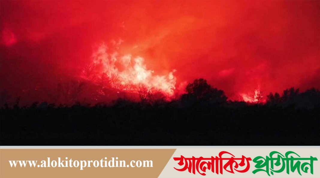 ফ্রান্সে ভয়াবহ দাবানল, ৪২ হাজার একর এলাকা পুড়ে গেছে