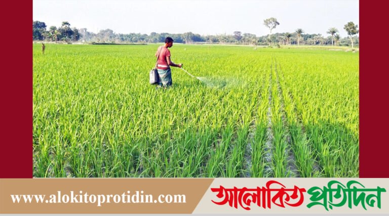 ২০২৫-২৬ অর্থবছরে কৃষিঋণের লক্ষ্যমাত্রা ৩৯ হাজার কোটি টাকা!