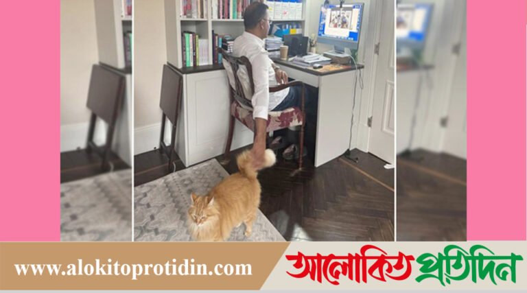 প্রিয় বিড়ালের সঙ্গে ছবি ভা#ইরাল, প্রশংসায় ভাসছেন তারেক রহমান!