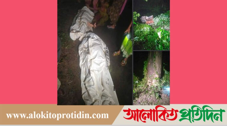 ধামরাইয়ে পিকআপ ভ্যান দুর্ঘটনায় দুইজনের মৃত্যু