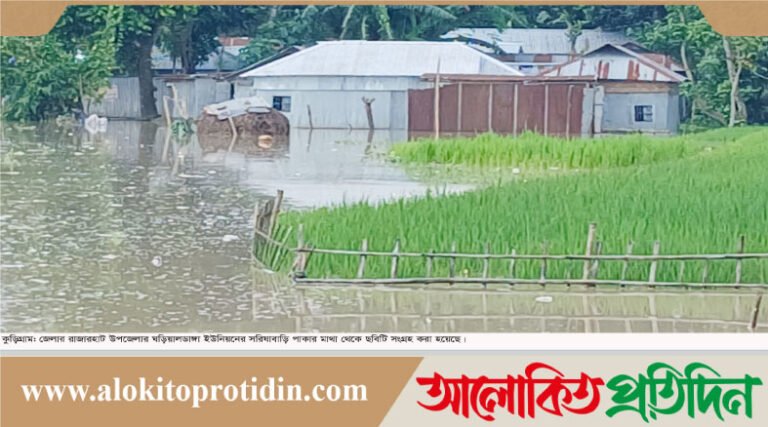 কুড়িগ্রামে তিস্তার প্লাবনে পানিবন্দী ৩হাজার পরিবার, ভাঙনে বিলীন ১৬টি বাড়ি ও ৪টি মসজিদ