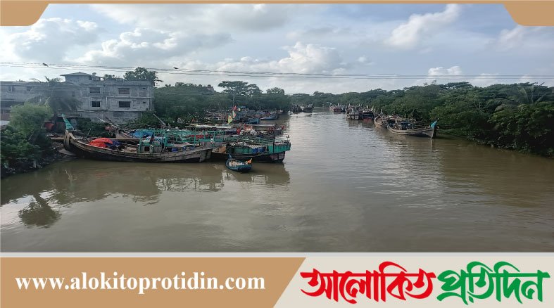 আজ থেকে ইলিশ ধরায় নিষেধাজ্ঞা: জেলেদের দুশ্চিন্তায়