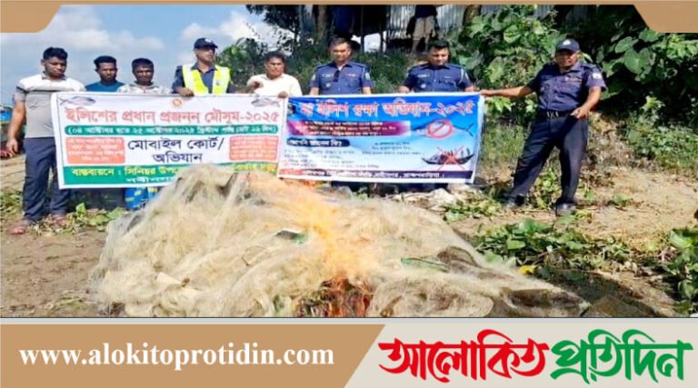 নবীনগরে মা ইলিশ প্রজন্ম রক্ষার্থে মেঘনা নদীতে অভিযান
