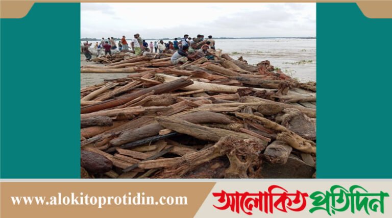 কুড়িগ্রামে পানিতে ভেসে আসা গাছের গুড়ি সংগ্রহ করতে গিয়ে ধান ব্যবসায়ী নিখোঁজ