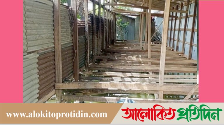 আমতলীতে আদালতের নিষেধাজ্ঞা অমান্য করে ঘরের মালামাল চুরি 