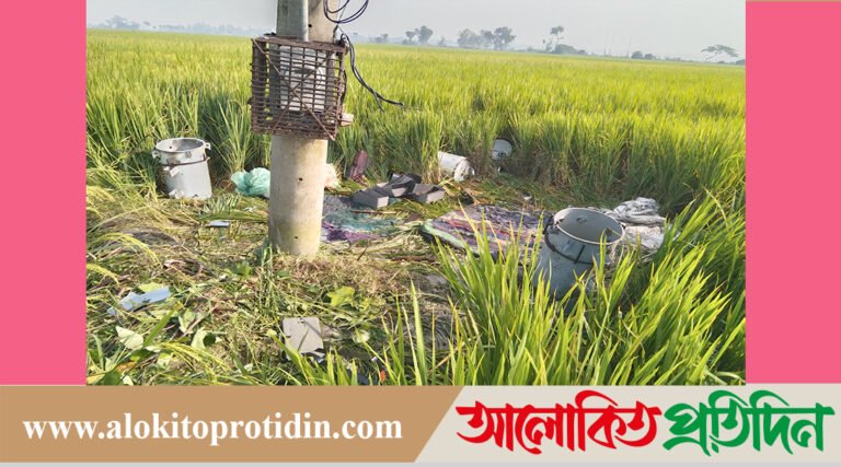 দুই নিরাপত্তা কর্মীকে মারধর করে গভীর নলকূপের ট্রান্সফরমারের কয়েল চুরি 