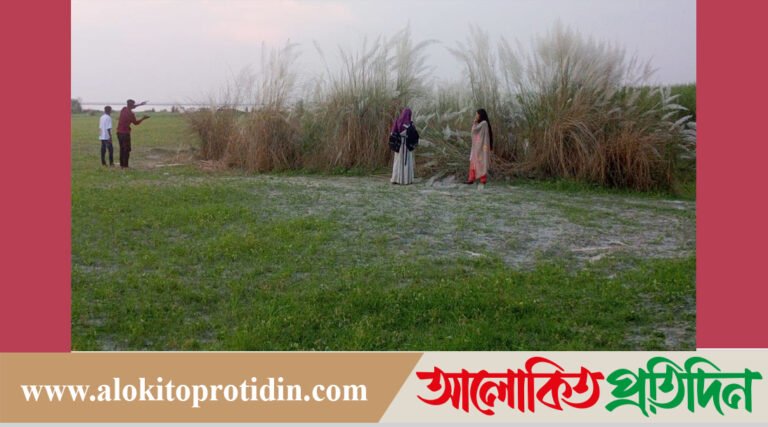 সারিয়াকান্দিতে সাদা কাশফুল দেখতে দর্শনার্থীদের ভিড়