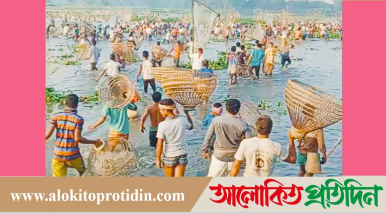 নান্দাইলের হাইত উৎসবে-পলো-জালে মাছ ধরার মিলনমেলা!