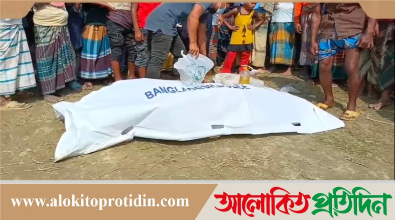 উল্লাপাড়ায় পৃথক দুই ব্যক্তির মরদেহ উদ্ধার 