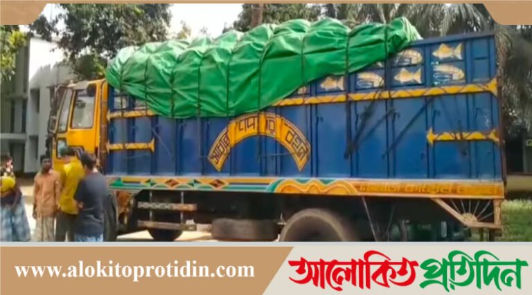 সরাইলে ট্রাক চাপায় অটোরিকশার চালকসহ দুজন নিহত