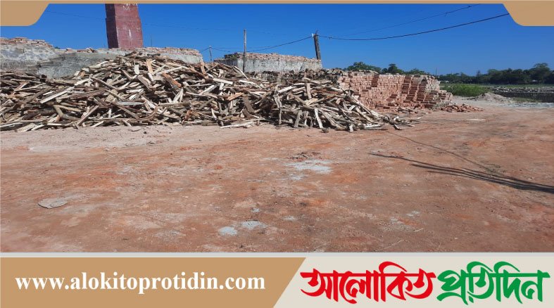 নোয়াখালীতে বিদ্যালয়ের পাশে চলছে অবৈধ ইট ভাটা,হুমকিতে শিশু শিক্ষার্থীরা 