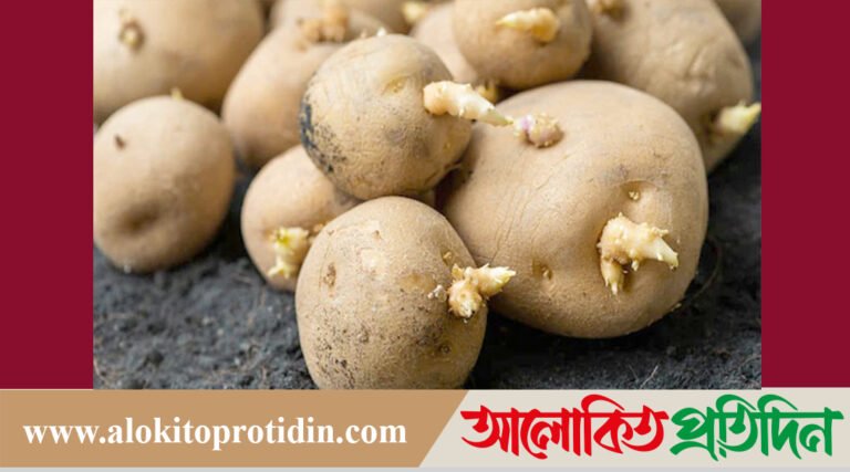 অঙ্কুরিত আলু খেলে কী হয়, জেনে নিন সম্ভাব্য বিপদের কথা?