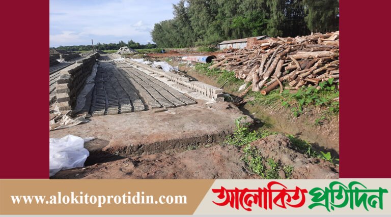 সুবর্ণচরে অবৈধ ইট ভাটার দৌরাত্ম দেখার যেনো কেউ নেই