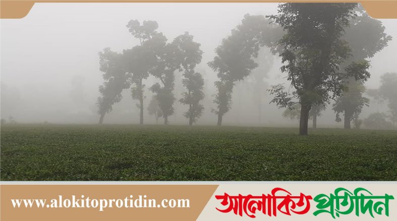 ঢাকার তাপমাত্রা নামলো ১৪ ডিগ্রিতে, আরও কমার আভাস