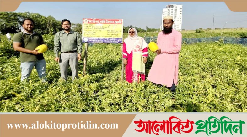 নবীনগরে অসময়ে তরমুজ চাষে কৃষকের নতুন সম্ভাবনা 