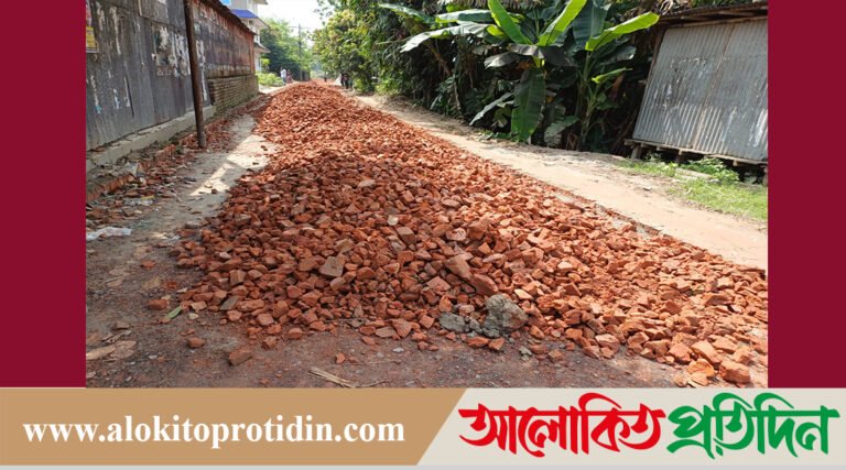 সিরাজদিখানে রাস্তা  নির্মাণে নিম্নমানের সামগ্রী ব্যবহার, ঠিকাদার প্রতিষ্ঠানের বিরুদ্ধে অনিয়মের অভিযোগ