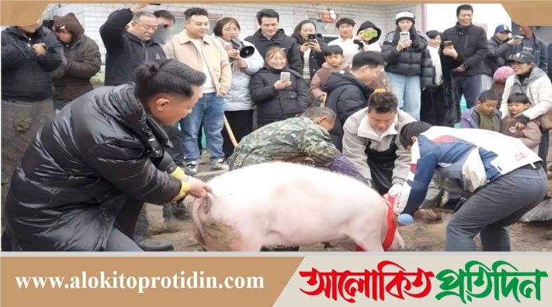 বাবার চিন্তায় মেয়ের একটি পোস্ট,গ্রামে হাজারো মানুষের মহামিলন