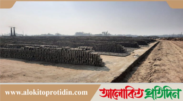 নোয়াখালীতে অবৈধ ইটভাটা, হুমকিতে শতাধিক পরিবার