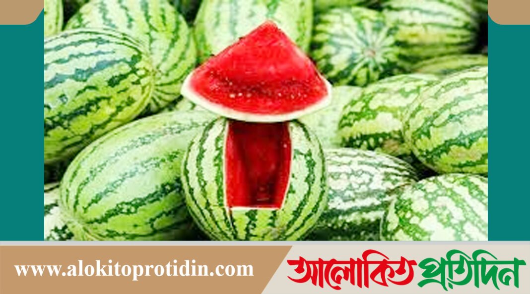 তরমুজের কেজি ৯০ টাকা, বাজারে ক্রেতা-বিক্রেতা খুব কম