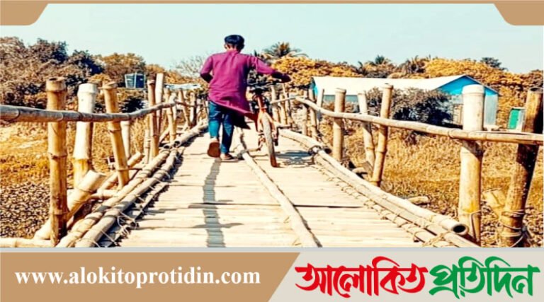 নবীনগরের ফতেহপুরে এখনো যোগাযোগের মাধ্যম বাঁশের সাঁকো