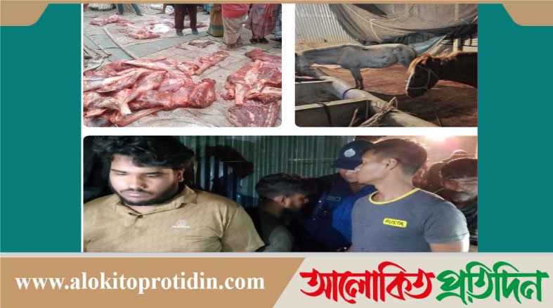 টাঙ্গাইলে ঘোড়া জবাই করে গরুর মাংস হিসেবে বিক্রির অভিযোগে ৪ জন গ্রে*প্তার