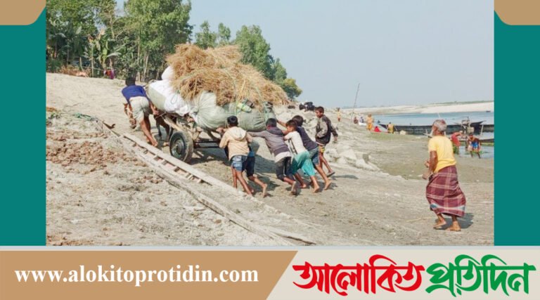 সারিয়াকান্দিতে যমুনা নদীতে নাব্যতা সংকটে কৃষি পণ্য পরিবহনে শেষ সম্বল ঘোড়ার গাড়ি 